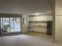 206  3040 Pine St Chemainus - condo beside Country Grocery