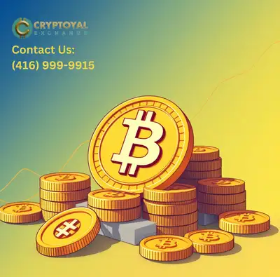 Fast and reliable exchange through a professional team Call or WhatsApp: (416) 999 9915