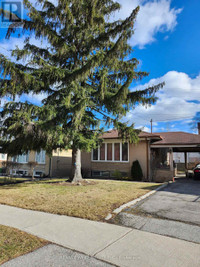 99 STAVELY CRES Toronto, Ontario