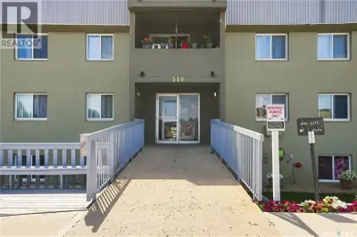 Are you looking for an excellent revenue property or a great starter home? This condo is professiona...