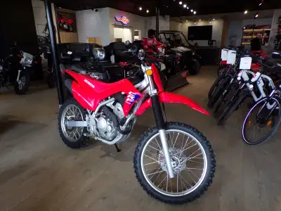 TAKE ADVANTAGE OF FINANCING STARTING AT 2.99%! Reliable 250cc 4 stroke engine New 2025 design 5 spee...