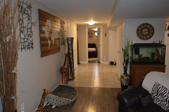 Beautiful 2 Bed Lower Duplex, Available Now in Long Term Rentals in Barrie - Image 4