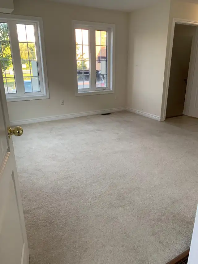 Spacious One Bedroom Private Basement Room - $1399