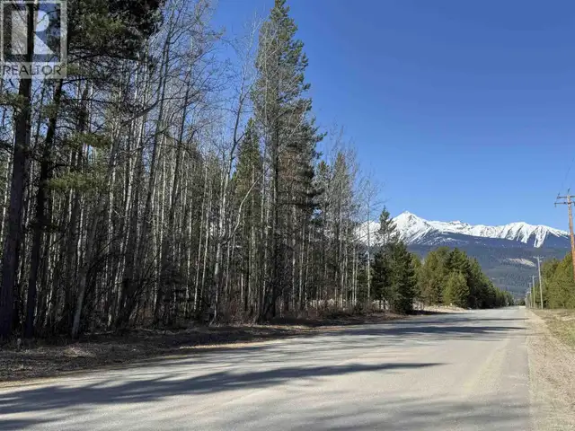 1030 18TH AVENUE Valemount, British Columbia in Land for Sale in Quesnel - Image 3