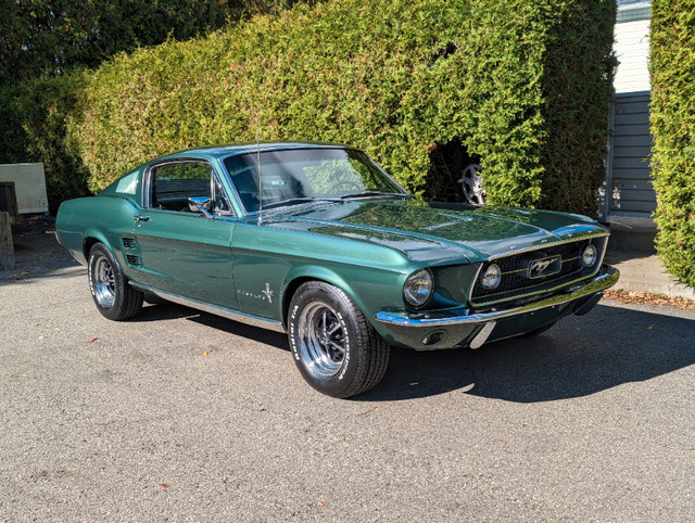 Wanted: 1967 - 1968 Mustang Fastback in Classic Cars in City of Toronto - Image 3