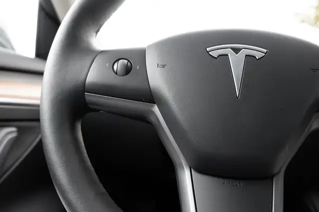2023 Tesla Model 35919031874407833610