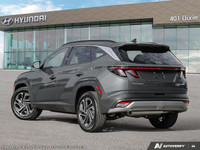 *Why choose 401 Dixie Hyundai for your next Hyundai?* Forget the trip to multiple Hyundai stores in... (image 3)