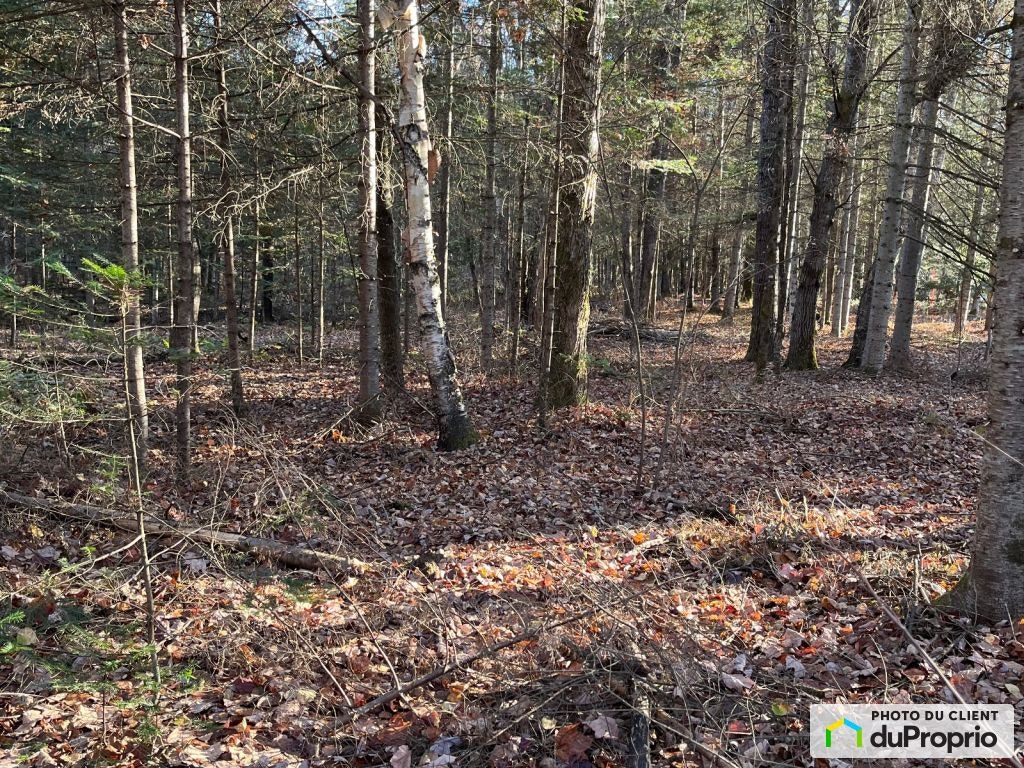 $242,500 - Price taxes not included - Residential Lot for sale — photo 3