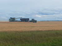 Prime grain land and large ranches in Peace region of AB + BC