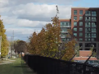 Upscale Private Condo Rental. Separate bedroom suite section with ensuite private walk-in bathroom....