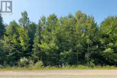 Bring your dream home to life on this private 0.5-acre country lot near Clarence Creek, just minutes...
