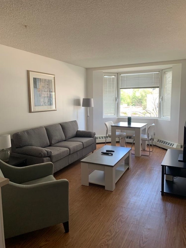 FULLY FURNISHED DOWNTOWN 1 BEDROOM AVAILABLE NOW! 304 Short Term