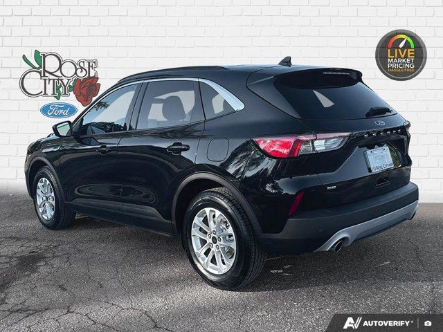 2020 Ford Escape SE | Heated Seats | Panoramic Sunroof in Cars & Trucks in Windsor Region - Image 4