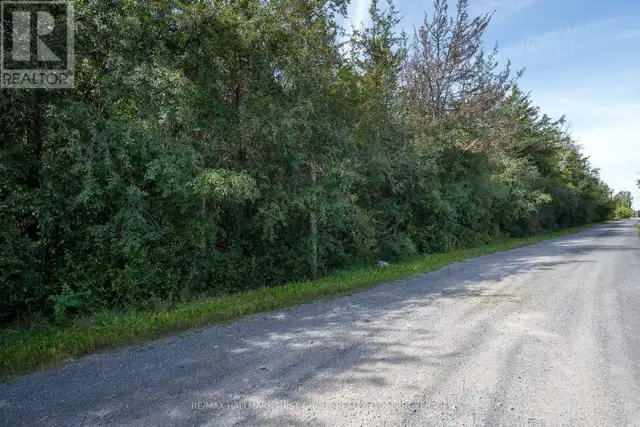 00 PALACE ROAD Greater Napanee (Greater Napanee), Ontario in Land for Sale in Napanee - Image 8