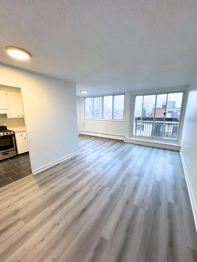 Cozy 3.5 Available July - Acadie - Parc - Extension