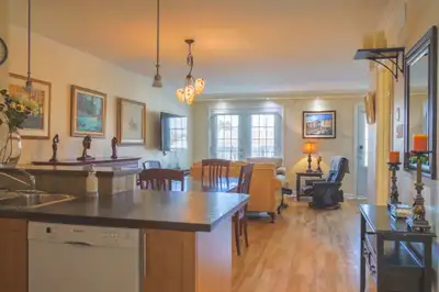 Condo / Appartement meublé 2 chambres (4 1/2) à vendre Montréal (Rivière-des-Prairies/Pointe-aux-Tre...