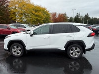XLE|AWD|Sunroof|CarPlay 2022 Toyota RAV4 XLE XLE|AWD|Sunroof|CarPlay Blizzard Pearl 2.5L 4-Cylinder... (image 4)