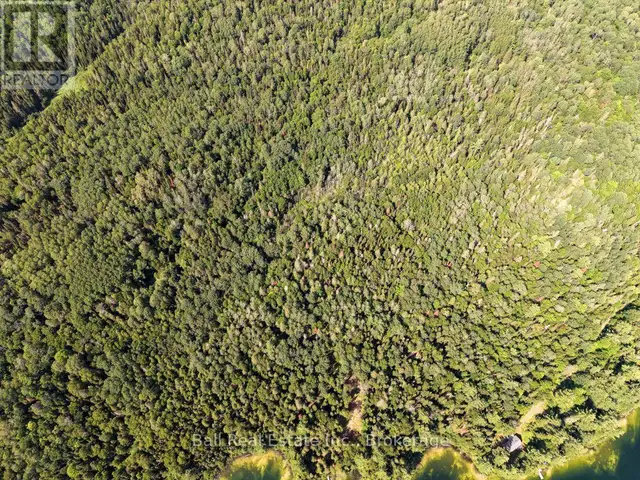 382 OLD DETLOR ROAD Bancroft (Dungannon Ward), Ontario in Land for Sale in Trenton - Image 8