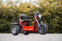 Boomerbeast - Electric All-Terrain Mobility Scooter