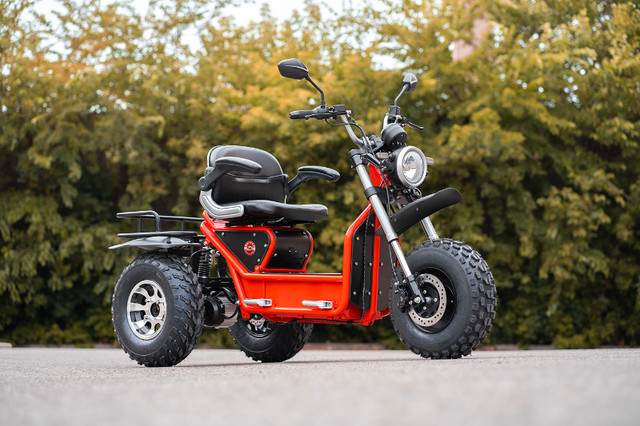 Boomerbeast - Electric All-Terrain Mobility Scooter in Health & Special Needs in St. John's