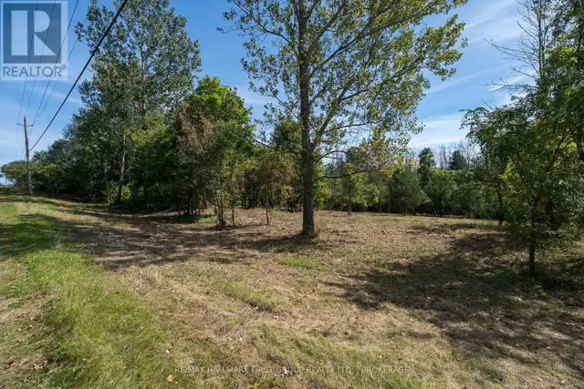 00 PALACE ROAD Greater Napanee (Greater Napanee), Ontario in Land for Sale in Napanee - Image 6