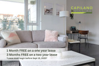 *Special Offer Available* 3-BR Home in North Van Vancouver Greater Vancouver Area Preview
