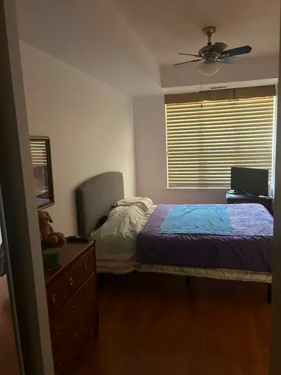 Room for rent