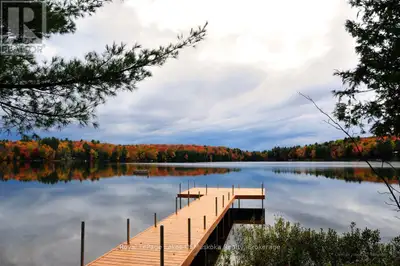 Discover the potential of this waterfront property on beautiful Tooke Lake - a smaller lake renowned...