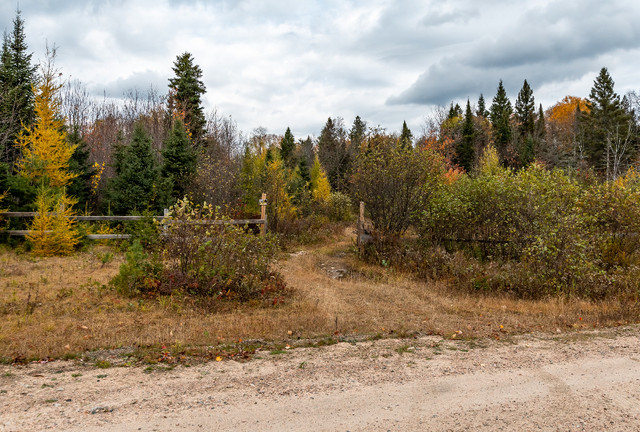 100-acre parcel in the heart of Machar in Land for Sale in Muskoka - Image 3