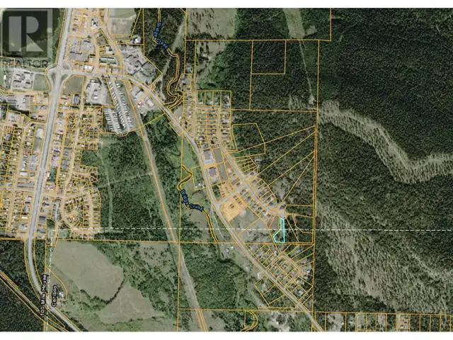 347 BLACKSTOCK ROAD 100 Mile House, British Columbia62864381048963121