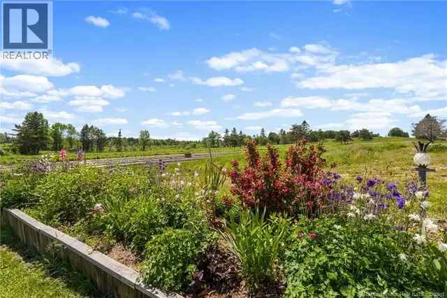 5925 Route 10 Hardwood Ridge, New Brunswick in Land for Sale in Fredericton - Image 13