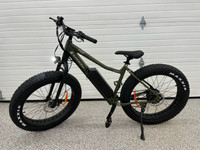 SURFACE 604 Boar Explorer Ebike 20AH