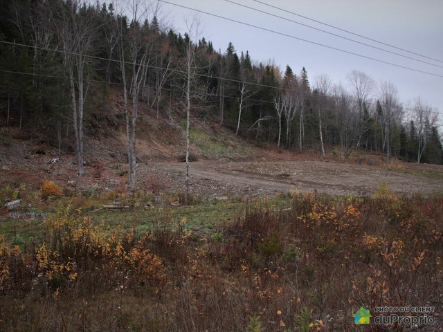 35 000$ - Terrain résidentiel à Ristigouche-Partie-Sud-Est in Land for Sale in Bathurst - Image 4