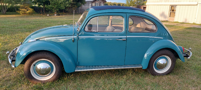 1963 Volkswagen, Beetle, Deluxe, Sunroof, California Car in Classic Cars in Hamilton