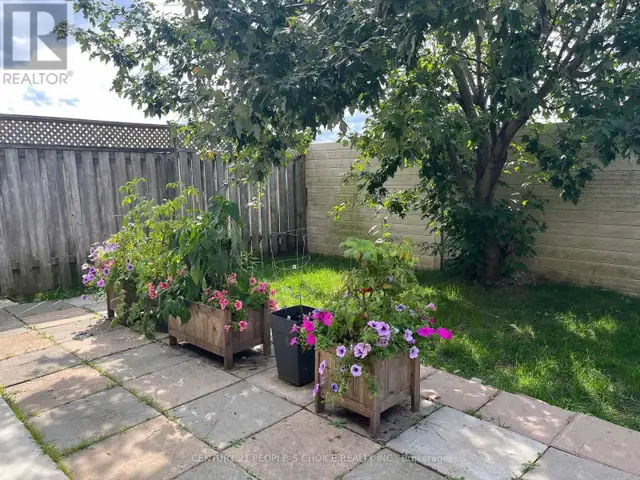 383 JAY CRESCENT Orangeville, Ontario in Long Term Rentals in Oakville / Halton Region - Image 18