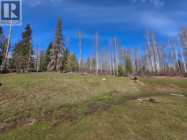 18715 GRANTHAM ROAD Telkwa, British Columbia in Houses for Sale in Smithers - Image 33