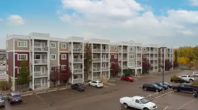 1-bedroom apartment at Stony Mountain Plaza for $1150