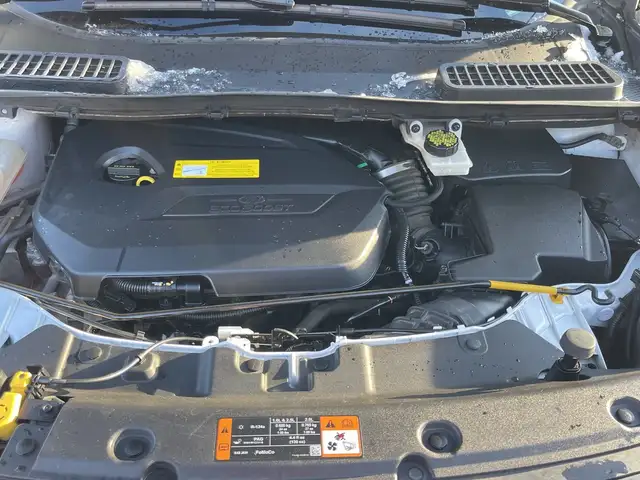 2016 Ford Escape SE5352715980170956819