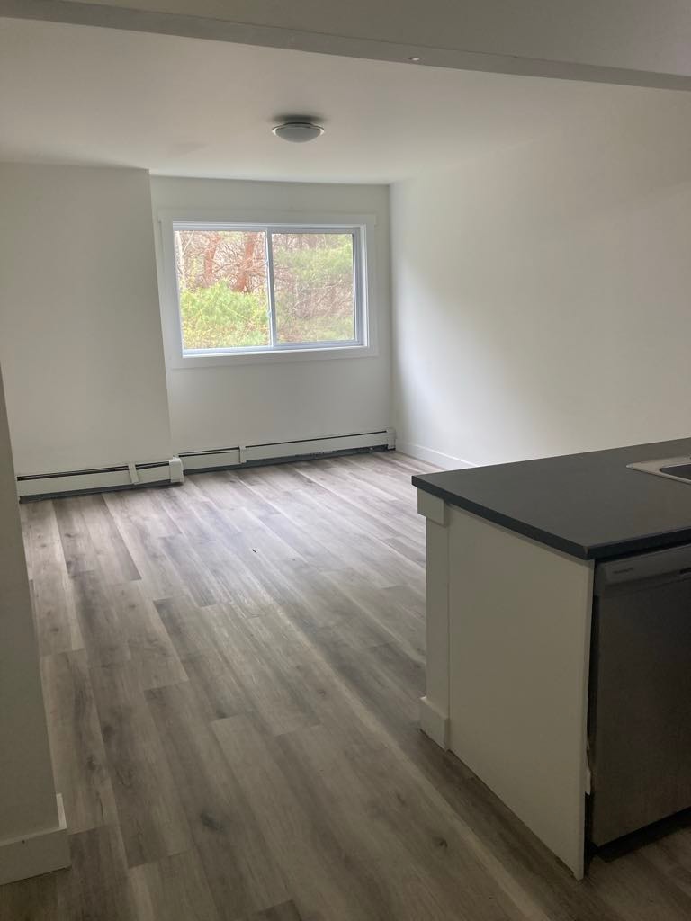 Fully Renovated Unit Available 3
