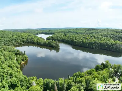 Terrain 110,000 pc boisé Ruisseaux bord de l'eau. possibilité de deux constructions. 100 pieds de bo...