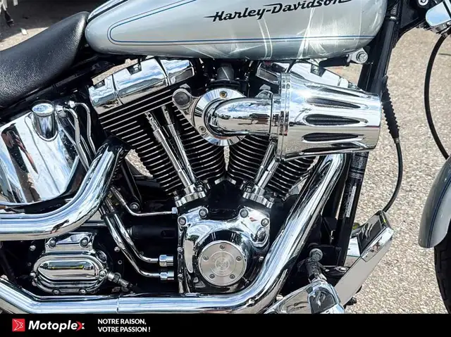 2004 HARLEY DAVIDSON FXST SOFTAIL in Street, Cruisers & Choppers in Gatineau - Image 5