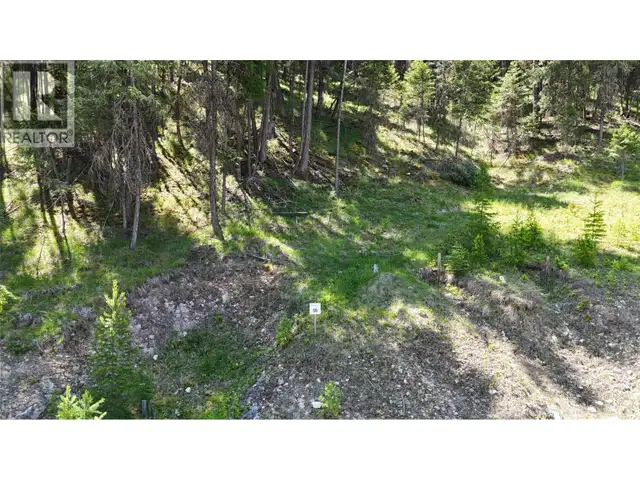 SL59 Osprey Landing View Wardner, British Columbia in Land for Sale in Cranbrook - Image 4