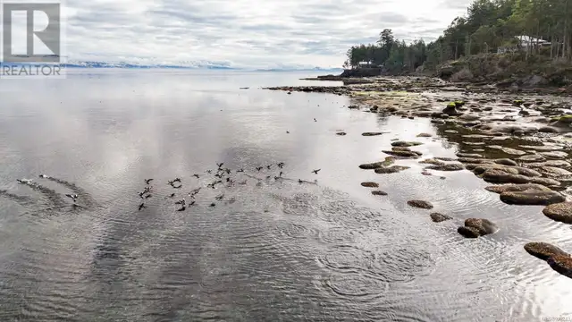 6055 MacLean Rd Hornby Island, British Columbia in Houses for Sale in Parksville / Qualicum Beach - Image 33