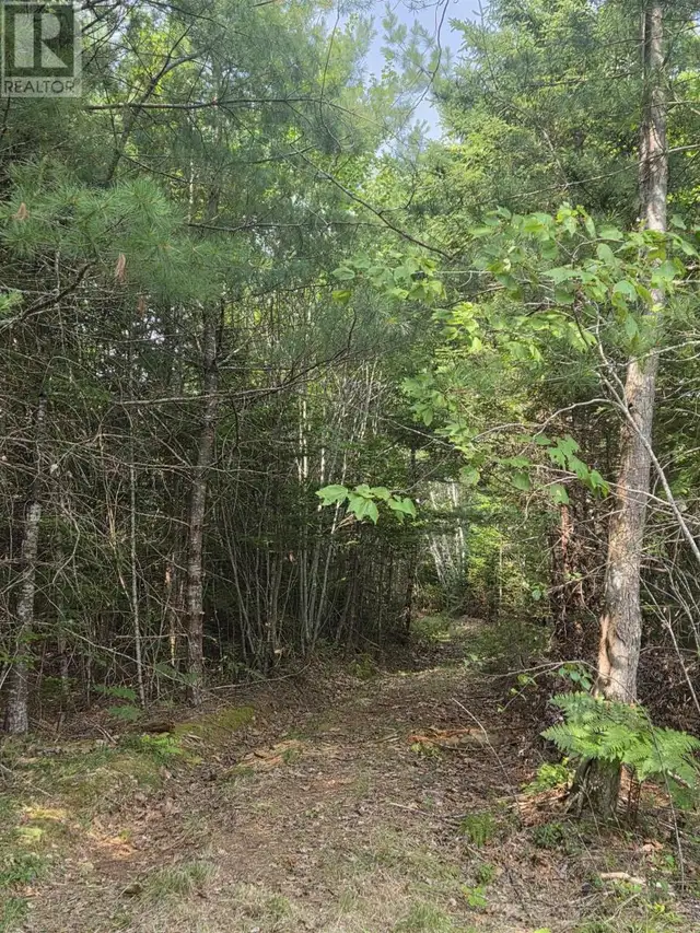 Highway 103 Sable River, Nova Scotia in Land for Sale in Yarmouth - Image 12