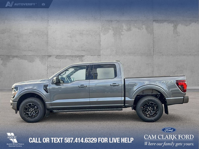 2025 Ford F-150 XLT in Cars & Trucks in Calgary - Image 4