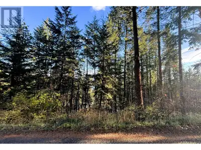 View lot on the west side of Okanagan Lake near Killiney Beach. Property is fully treed and slopes d...