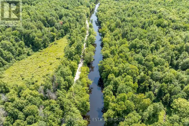 PART LOT 28 CONCESSION 12 BLACK RIVER ROAD Kawartha Lakes (Dalto in Land for Sale in Barrie - Image 9