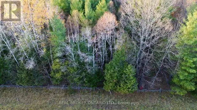 LOT 2 WATSONS CORNERS ROAD Lanark Highlands, Ontario in Land for Sale in Kingston - Image 3