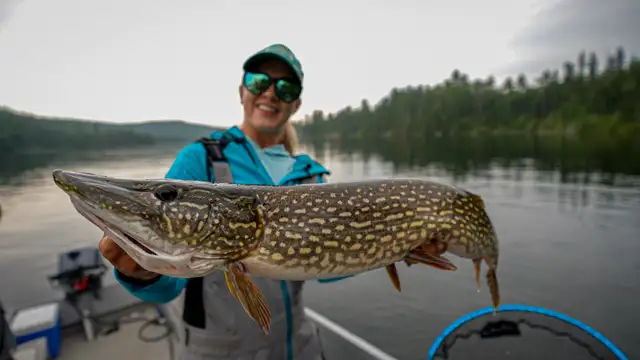 Ontario Fly-in Fishing Trips: Cdn $ at Par (42% Savings!) in Ontario in Canada - Image 7