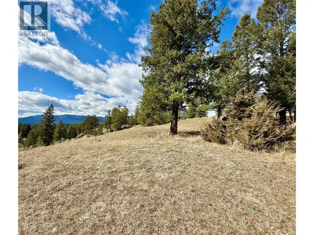 2400 KOOTENAY RD NO 3 Road Lot# 2 Windermere, British Columbia in Land for Sale in Cranbrook - Image 9